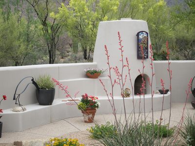 Some palo verde outside the wall