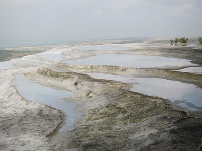 These are the white calcium pools which cling to the...