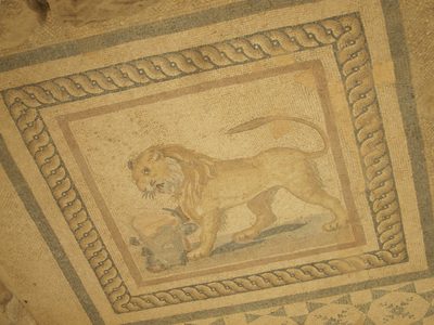 An example of the interior decoration of the terrace...