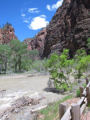 With the gurgling Virgin River running at about 1/3 of...