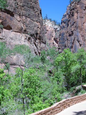 A view up canyon toward the Narrows