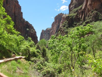 Looking back down the path