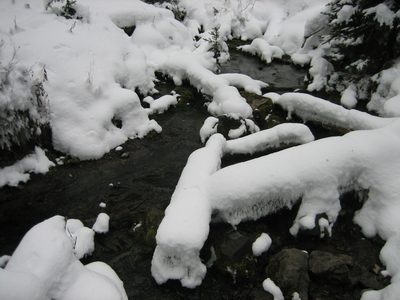 A winter stream.  On the way to Ousel Falls.