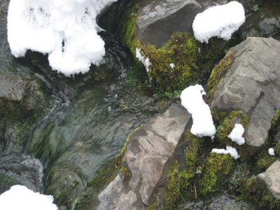A close-up of some mossy rocks in the still-unfrozen river.