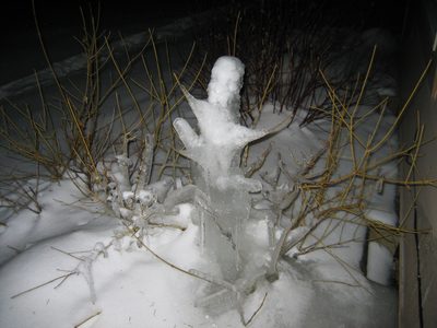 Mr. Ice Plant who stands watch over our hot tub.