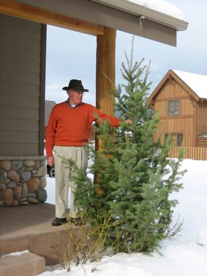 Dad with the wonderful Christmas tree, just before we...