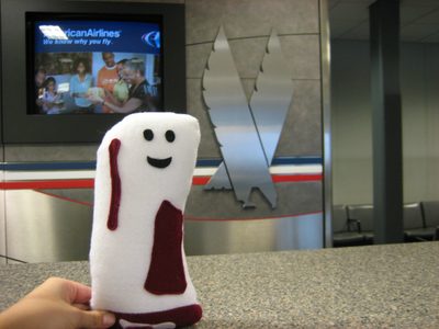 Bacon-y waits for an American Airlines representative to...
