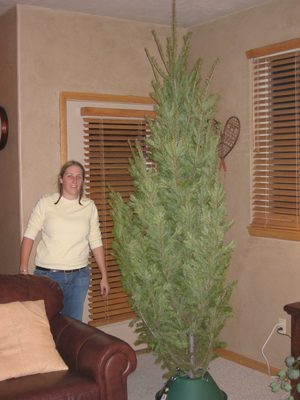 Catherine and the tree, before it had settled.