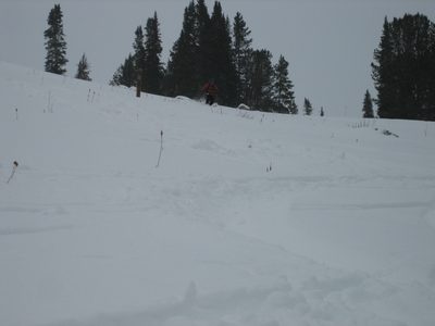John skiing Beehive Basin (and blending in with the trees).