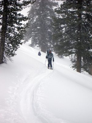 Al on the trail.