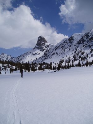 Fin Dome again.