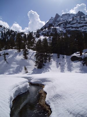Running streams underneath cantalevered snow banks make me happy.