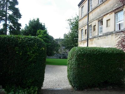 Facing towards the Rose Lane Building from High Street