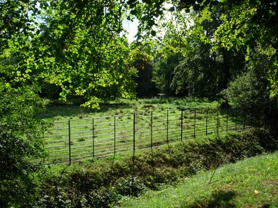 More of Addison's Walk. The Walk and the Deer Park are...