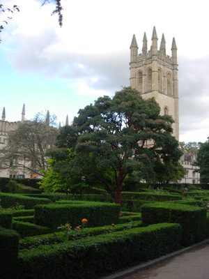 More of the Rose Garden