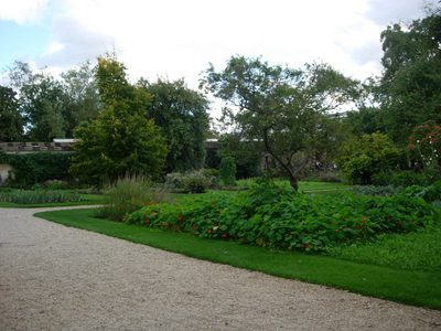 Inside the Botanic Garden