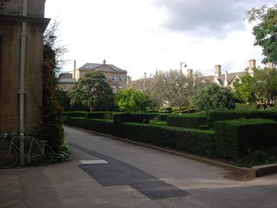 Another view over the Rose Garden