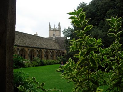 As elsewhere in New College, shrubs are very well attended to
