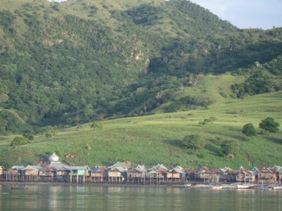 Komodo Village.  Population: 1500.
